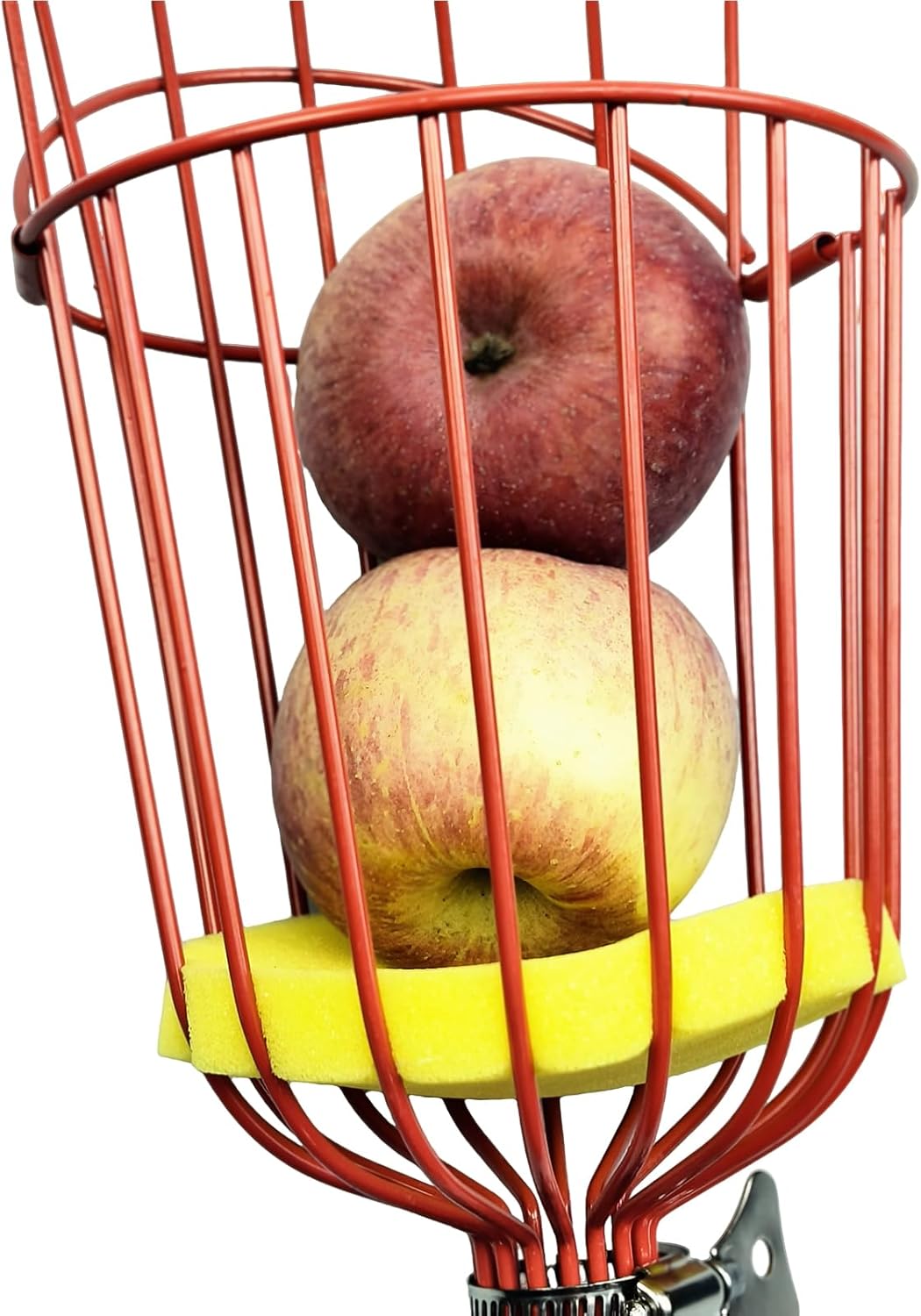 Stainless Steel Fruit Picker Basket Tool for Apple, Cherry, Berry, Orange, Blueberry, Mango