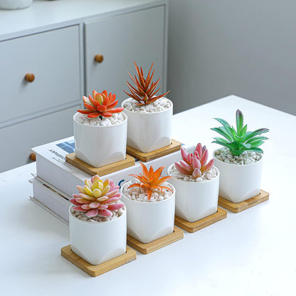 ARTKETTY Succulent Pots - 3 Inch Small Succulent Planter Pot with Drainage Trays Set of 6, Ceramic