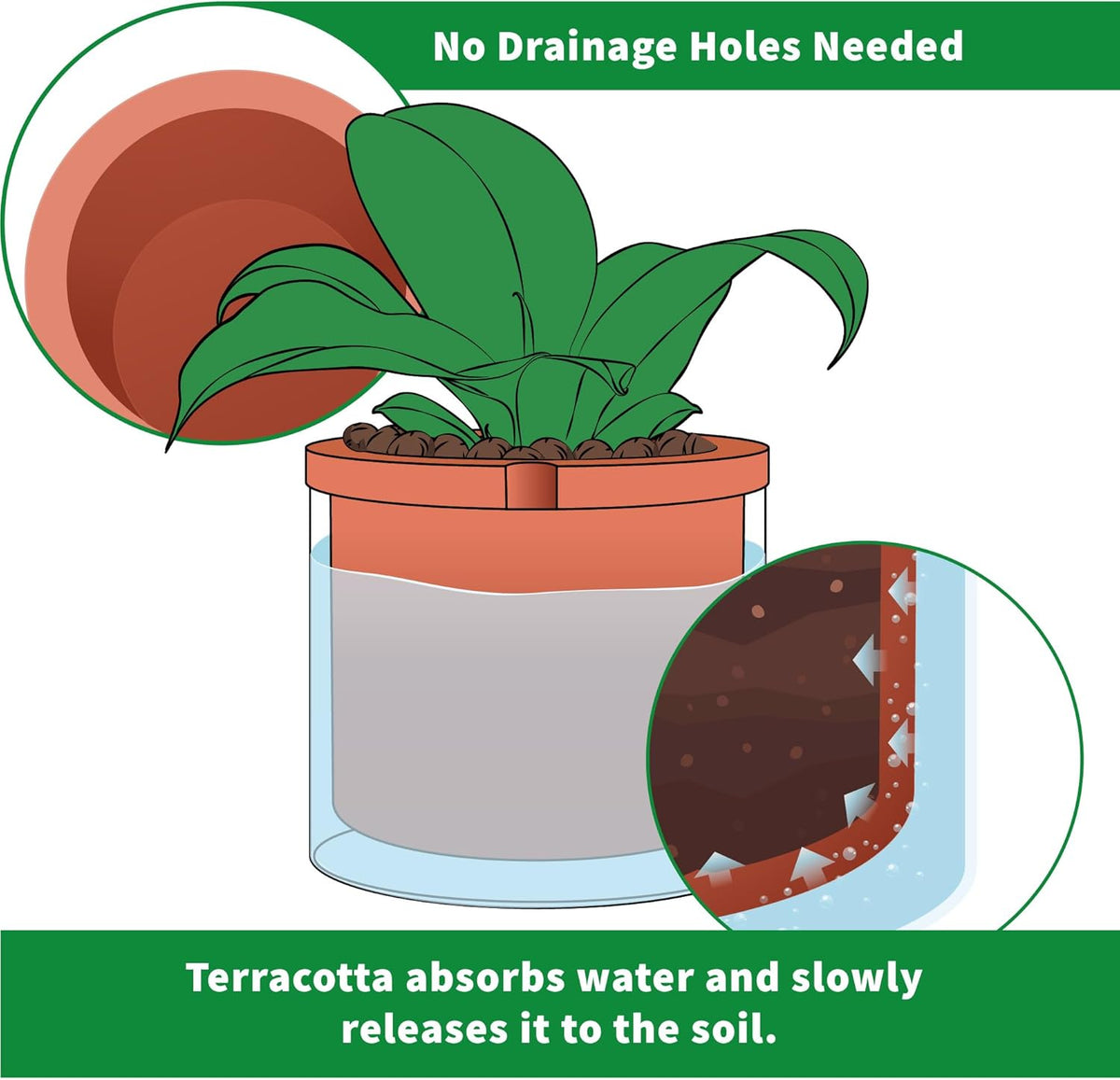 Phoenix Vine 10 Inch Self Watering Planter, White Terracotta Pot for Plants, Indoor Cylinder Terra