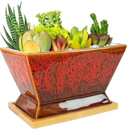 ARTKETTY Succulent Pots - 7 Inch Large Plant Pot with Drainage Tray, Shallow Ceramic Pots for