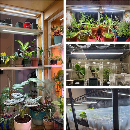 Wiaxulay Grow Lights for Indoor Plants, Full Spectrum, 6000K LED Plant Grow Light Strips, Grow Lamp