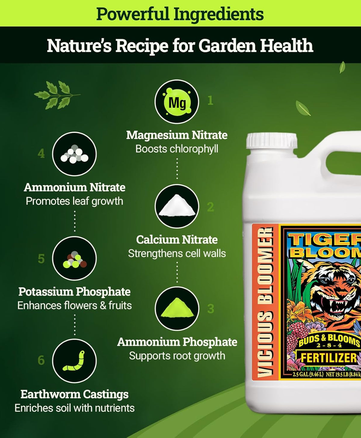 FoxFarm Tiger Bloom Liquid Fertilizer Concentrate - Fast Acting Formula for Vicious Growth with