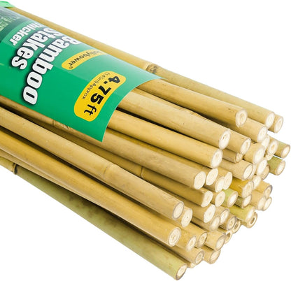 1/2" D 4.75 Feet Bamboo Stakes 50 Pack, Thicker Heavy-Duty Plant Stakes, Natural Garden Stakes for