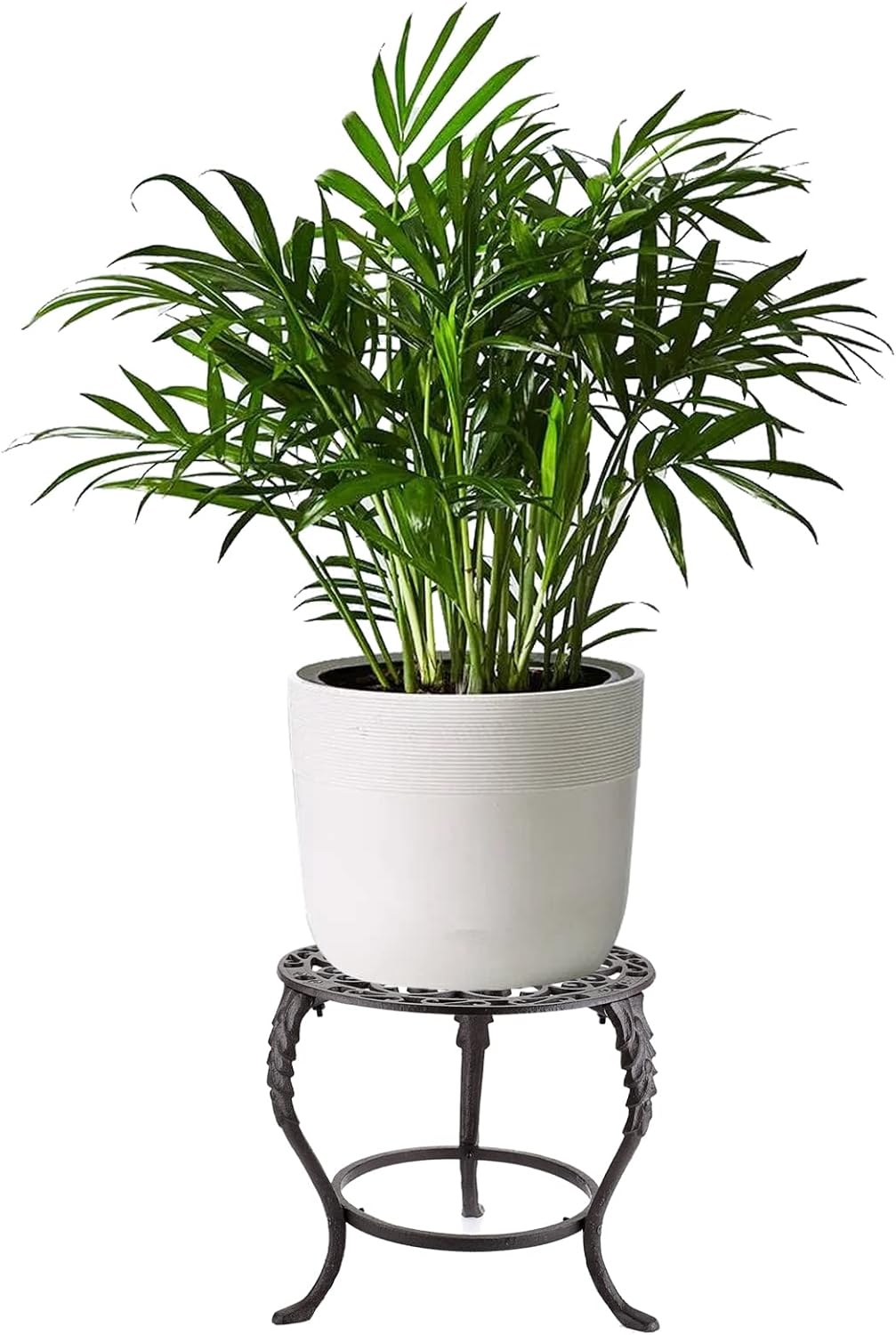 OwnMy Heavy Duty Cast Iron Plant Stand Vintage Iron Flower Pot Holder, Rustic Decorative Round