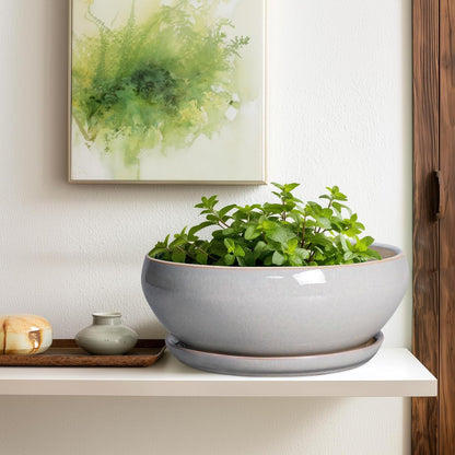 SQOWL 12 Inch Bonsai Pots - Large Ceramic Succulent Pots with Drainage Hole and Saucer, Shallow