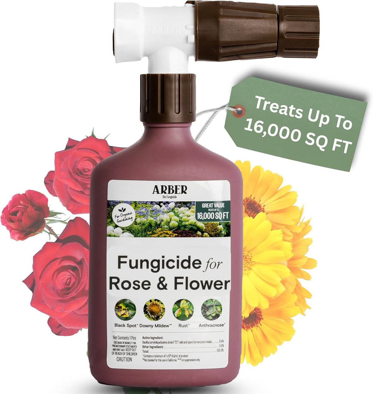 Organic Fungicide for Rose & Flower | 16oz Ready-to-Spray | Controls Powdery Mildew, Black Spot