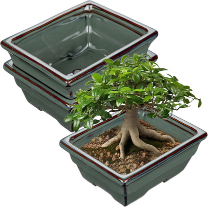 Ceramic Bonsai Pots with Drainage Hole Set of 2, Green Glazed Bonsai Planters for Indoor/Outdoor