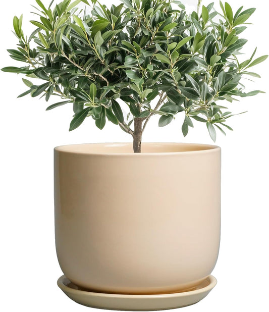Ceramic Planter - Round Modern 8 Inch Plant Pot with Drainage Hole and Saucer for Flowers Herb