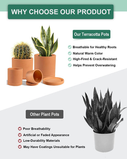 Terracotta Pots with Drainage and Saucers, 3.5/4.2/5.2/6 Inch Clay Planters