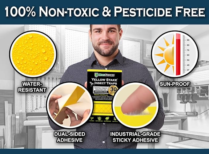 MAXGUARD (30 Pack) Yellow Stake Sticky Insect/Bug Traps - Catch and Kill Fungus Gnats, Whiteflies