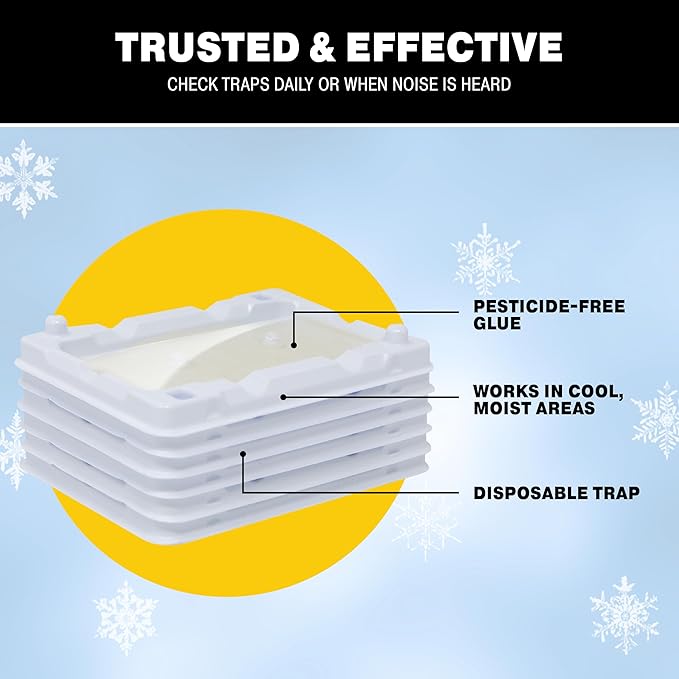 Catchmaster Freeze Resistant Glue Traps 6PK Mouse Traps Indoor for Home, Pest Control Adhesive