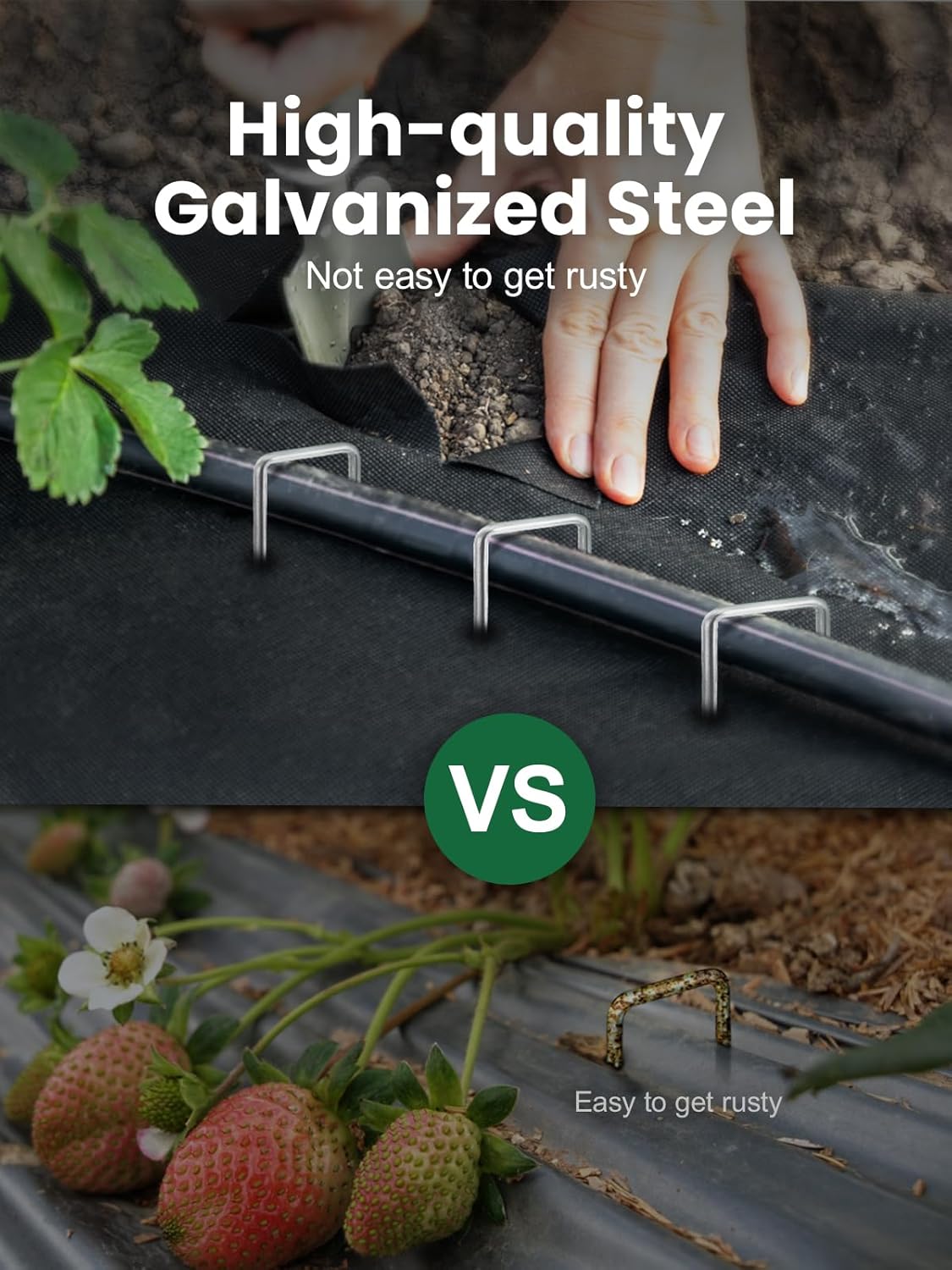 GROWNEER 100 Packs 12 Inches Landscape Staples Heavy Duty 11 Gauge Galvanized Steel Garden Stakes