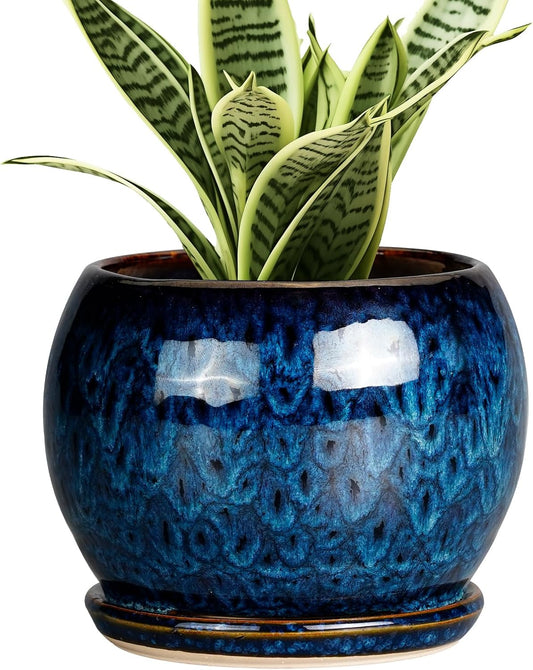 SQOWL 6 Inch Plant Pot - Ceramic Planter Pot with Drainage Hole and Saucer, Succulent Pot Round