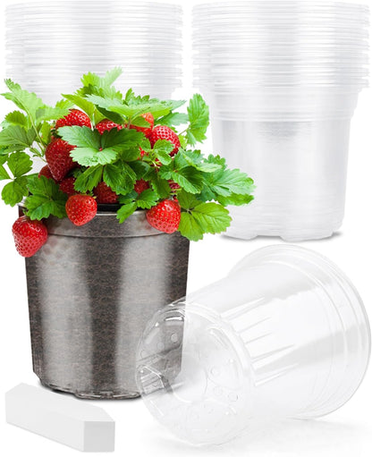 PACETAP 30Pack 5 Inch Reinforced Clear Nursery Pots with Drainage Holes, Variety Pack Plastic Plant