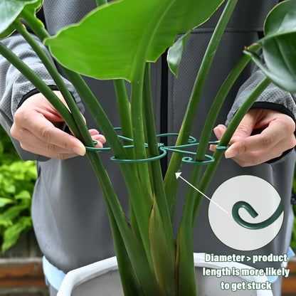 Monstera Plant Stem Support - 5 Pack 6.5"x6.5" Green Metal Stem Stabilizers, Adjustable Ring Clamps