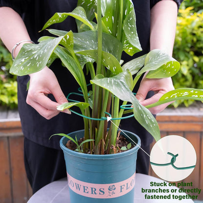 5PCS Monstera Plant Stem Support 7.3*6.25IN Adjustable Holder for Indoor Plants, Durable Metal