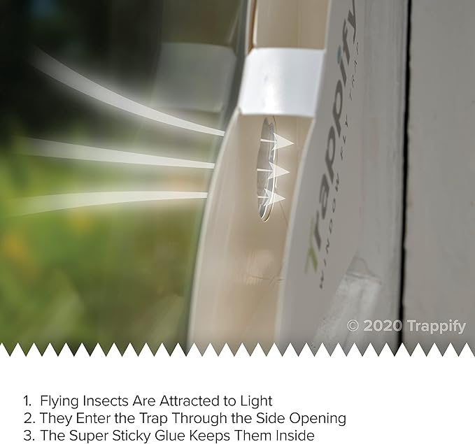 Trappify Fly Trap Indoor: Window Fly Traps for Home | Fruit Fly Traps for Indoors, Gnat Traps for