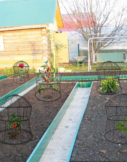 Garden Cloches for Plants 2 Pack Metal Plant Protectors from Animals Chicken Wire Cloche Updated