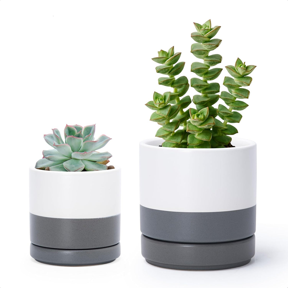 D'vine Dev 3.5 Inch & 4.7 Inch Ceramic Planter Pots for Plants with Drainage Hole and Saucer