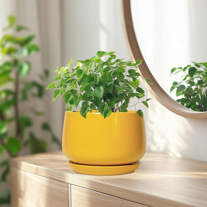 G EPGardening Ceramic Pots for Plants - 7 Inch Plant Pot with Drainage Hole and Saucer, Modern