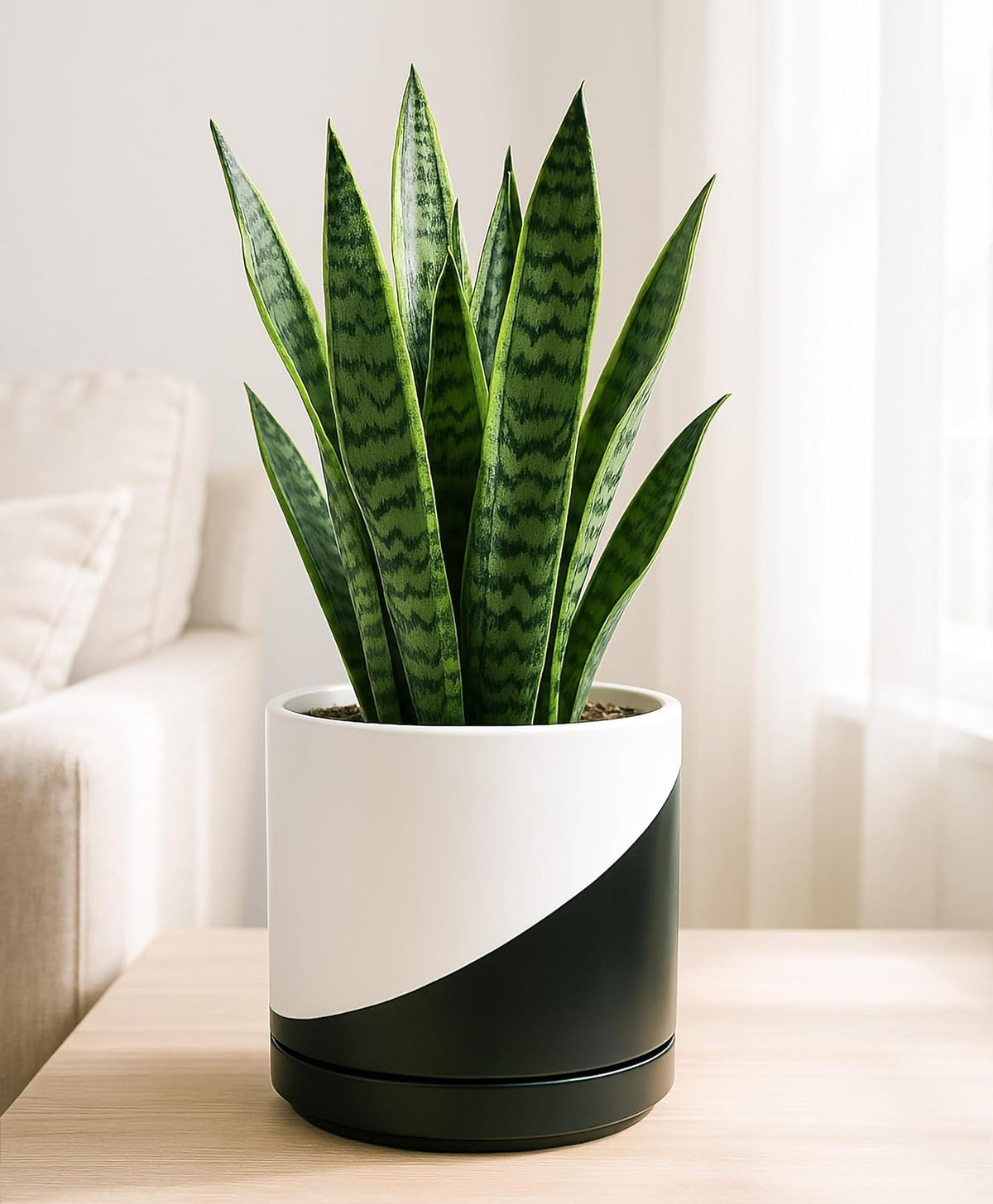 D'vine Dev 8.2 Inch Ceramic Planter Pot with Drainage Hole and Saucer, Indoor Cylinder Round