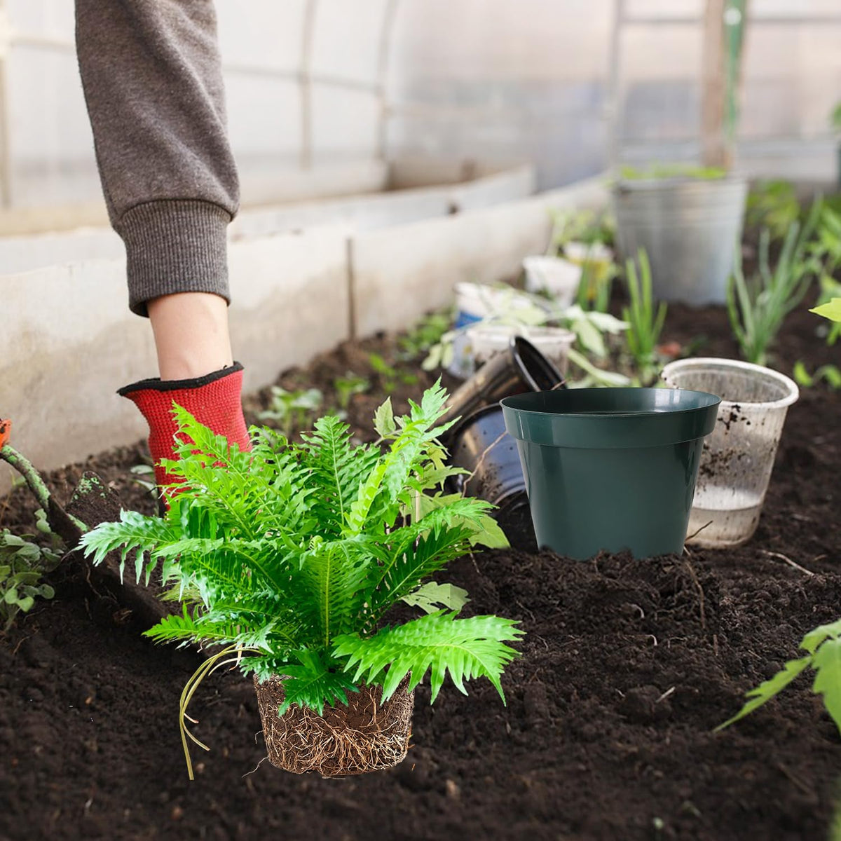 50 Pack 6 Inch Nursery Pots, Planting Grow Plastic Flower Pots, Thick Planters with Drainage Holes