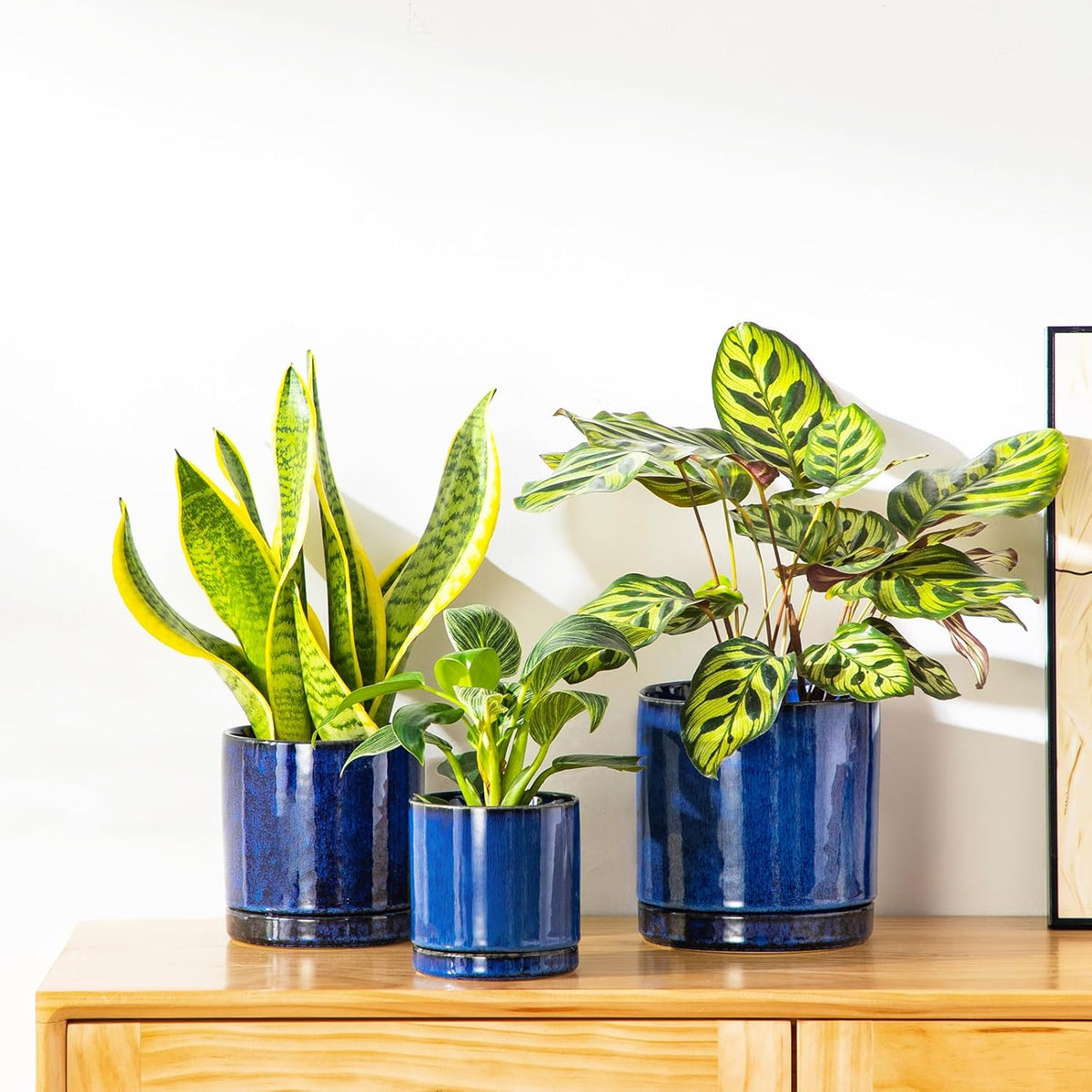 vancasso Ceramic Plant Pots, 3 Piece Planters for Indoor Plants, 4.25+5.25+6.25 Inch Flower Pots