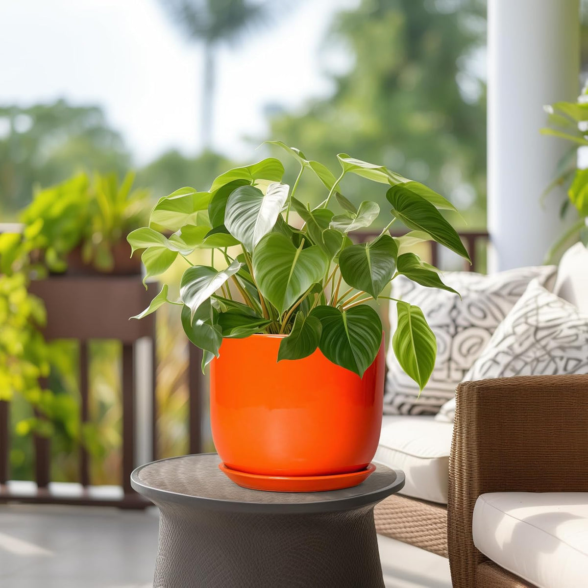 Ceramic Pot for Plants - 8 Inch Plant Pot with Drainage Hole and Saucer, Cylinder Modern Round