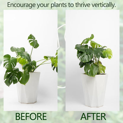 5PCS Plant Stem Support - Durable Monstera Stabilizer Grapple Holder, Unique Design for Climbing