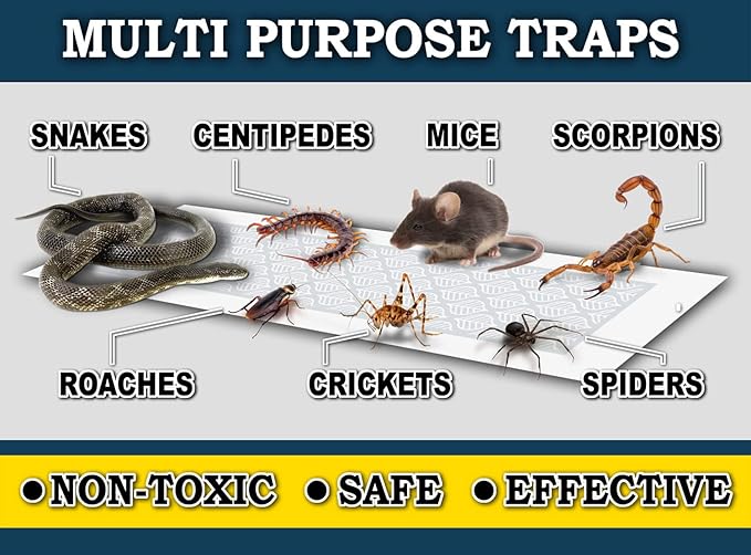 MaxGuard Glue Trap Strips (24 Traps) Non-Toxic Extra Sticky Glue Board Pre-Baited with Fruity Scent
