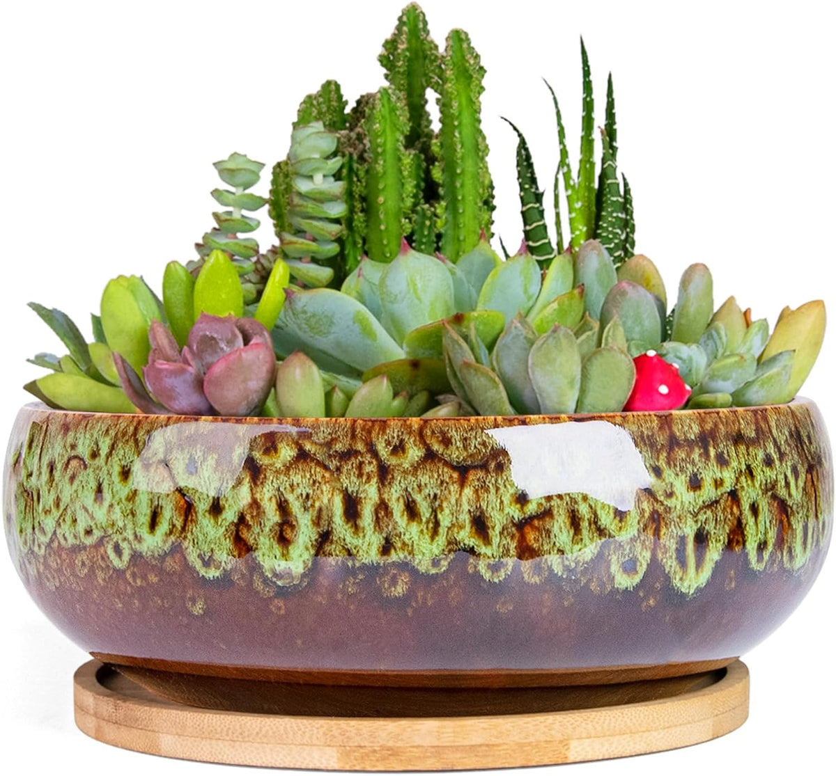 ARTKETTY Succulent Pots - 7.5 Inch Large Plant Pot with Bamboo Tray, Shallow Bonsai Pots with