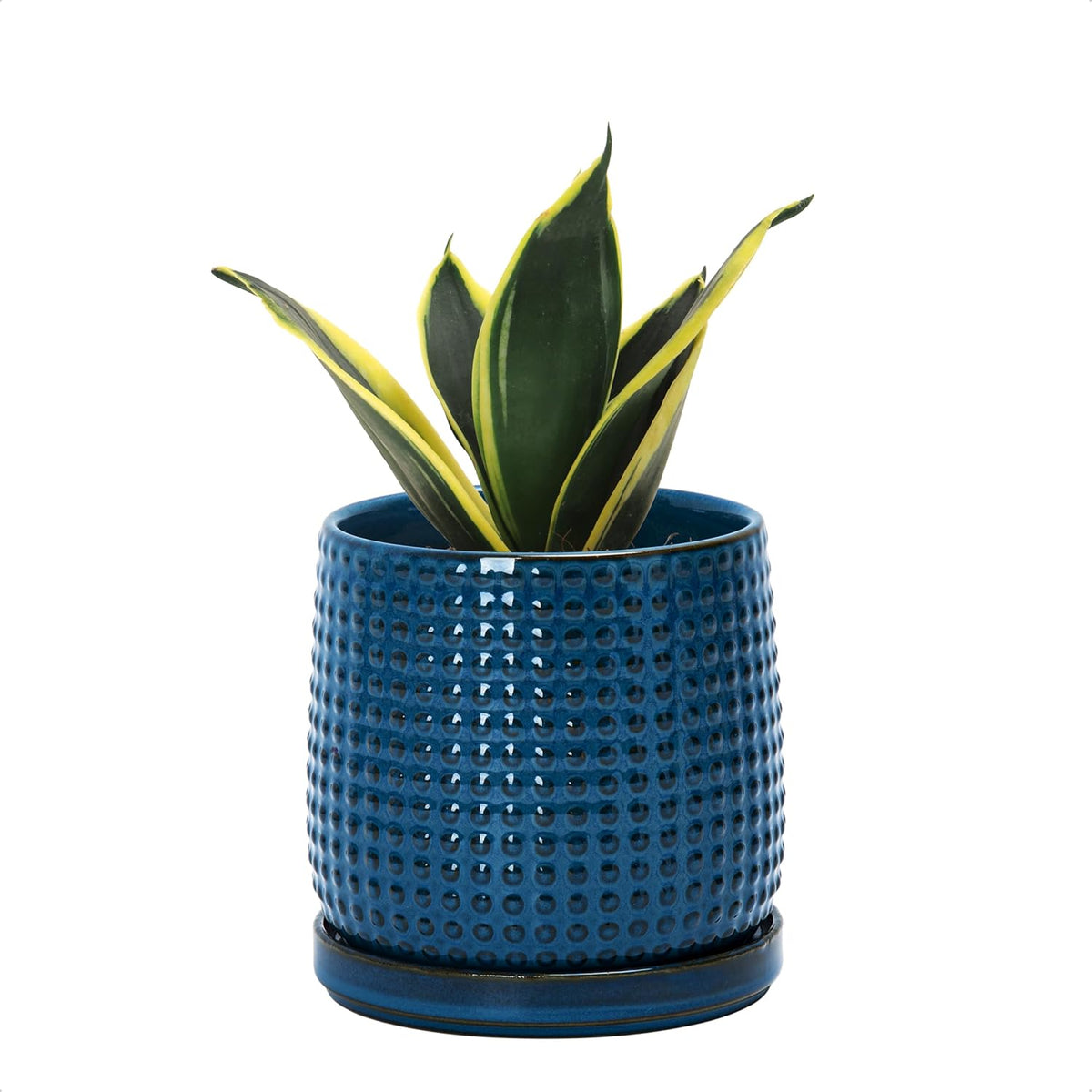 D'vine Dev 4 Inch Ceramic Beaded Stoneware Planter Pot - Flower Pot with Drainage Holes and Saucers