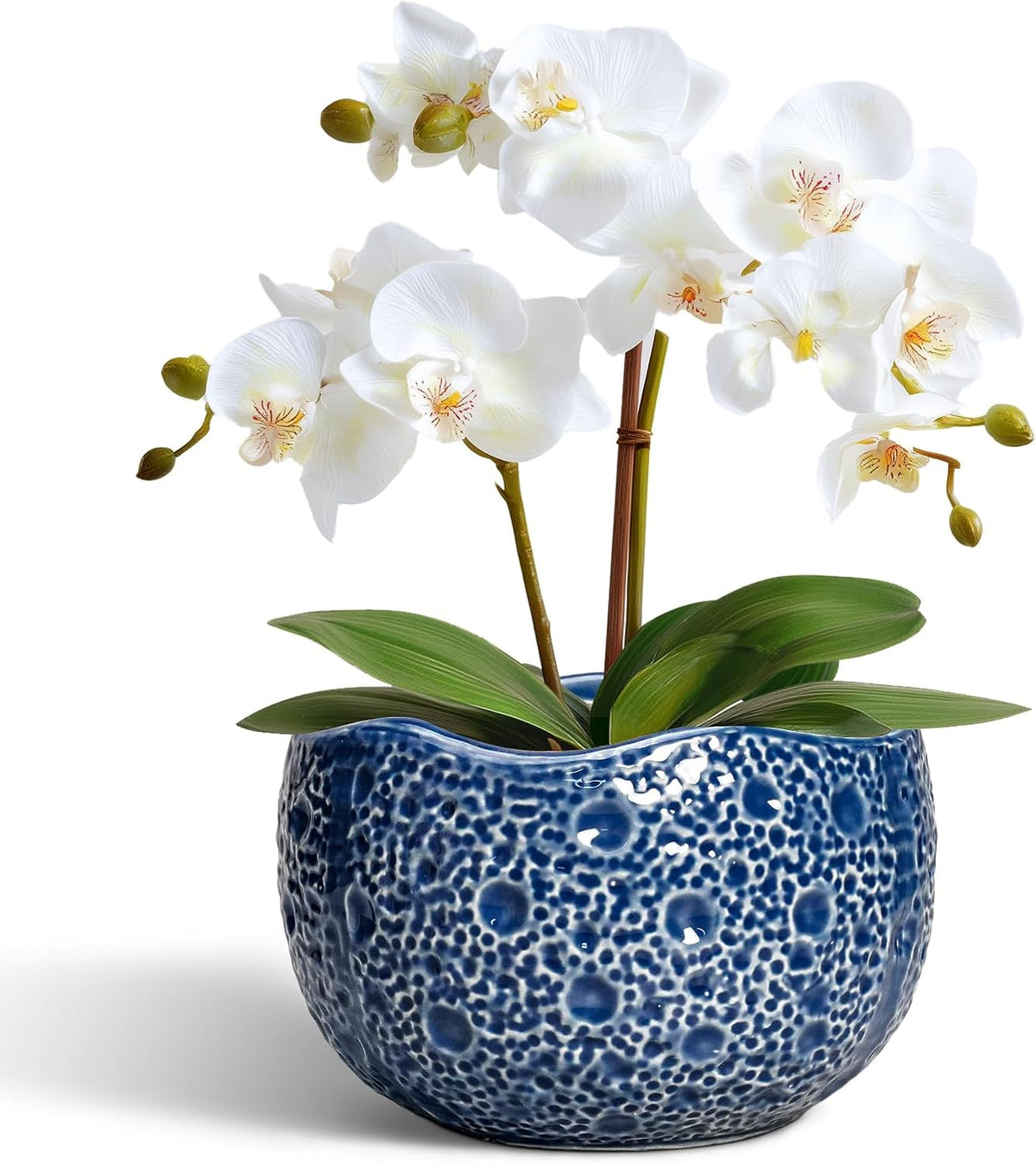 Orchid Pot - 6 Inch Ceramic Plant Pot for Indoor Outdoor, Round Unique Planters with Drainage Hole