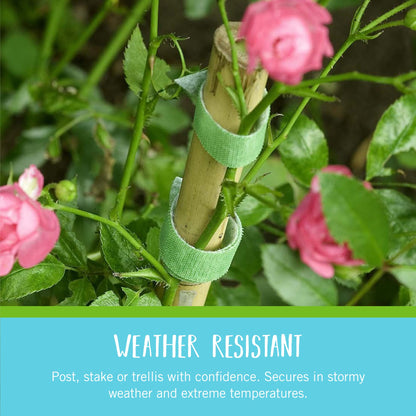 VELCRO Brand Adjustable Plant Ties | 75 ft x 1/2 in Green Garden Tape | Reusable, Cut-to-Length