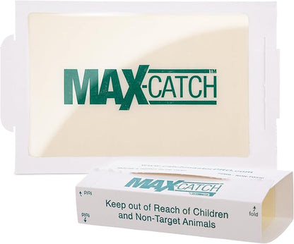 Catchmaster Max-Catch Mouse & Insect Glue Trap 36PK, Mouse Traps Indoor for Home, Sticky Pest