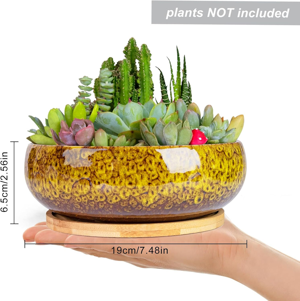 ARTKETTY Succulent Pots - 7.5 Inch Large Plant Pot with Bamboo Tray, Shallow Bonsai Pots with