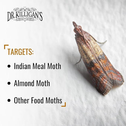 Dr. Killigan's Premium Double Potent Pantry Moth Traps with Pheromones Prime, Sticky Indian Meal