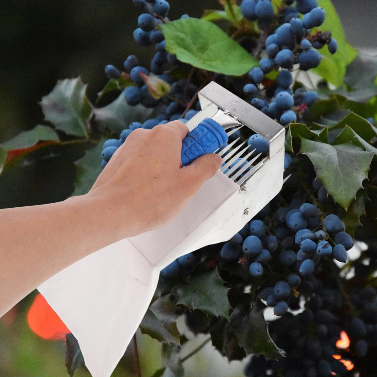 SUPVOX Blueberry Picker with Handle Ergonomic Berry Picker Tool for Effortless Blueberry Harvesting