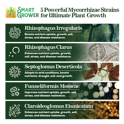 Mycorrhizal Fungi Organic Root Enhancer for Plants, Super Potent 100 Spores Per Gram, 5-Strain