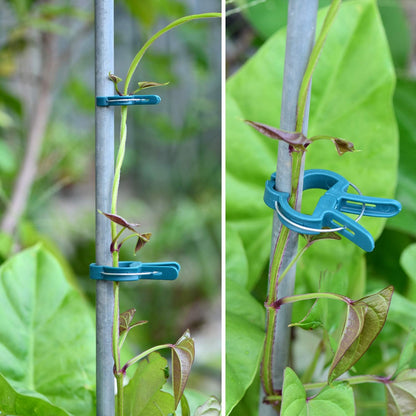60PCS Plant Clips 2 Sizes Adjusting Reusable Garden Plant Supports Clips for Supporting Stems of