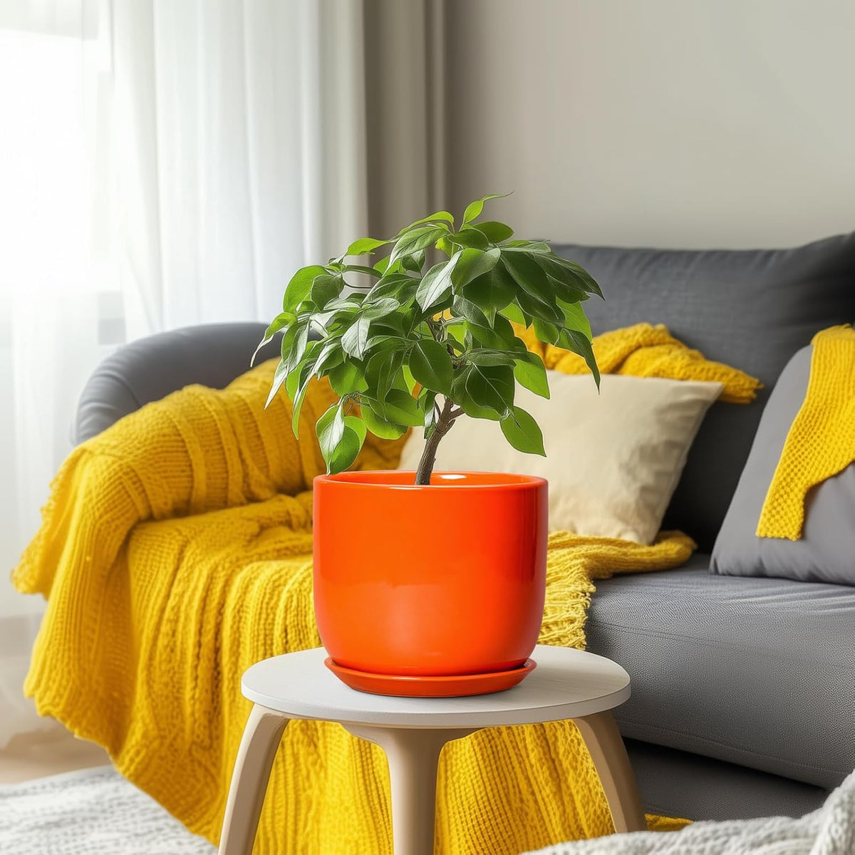 Ceramic Pot for Plants - 8 Inch Plant Pot with Drainage Hole and Saucer, Cylinder Modern Round