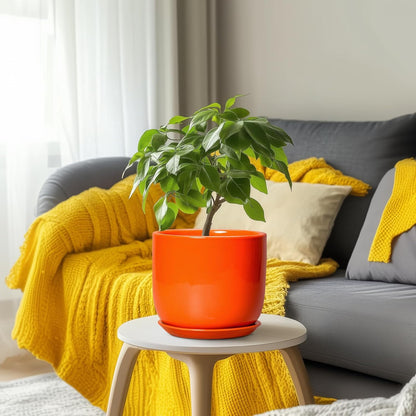 Ceramic Pot for Plants - 8 Inch Plant Pot with Drainage Hole and Saucer, Cylinder Modern Round