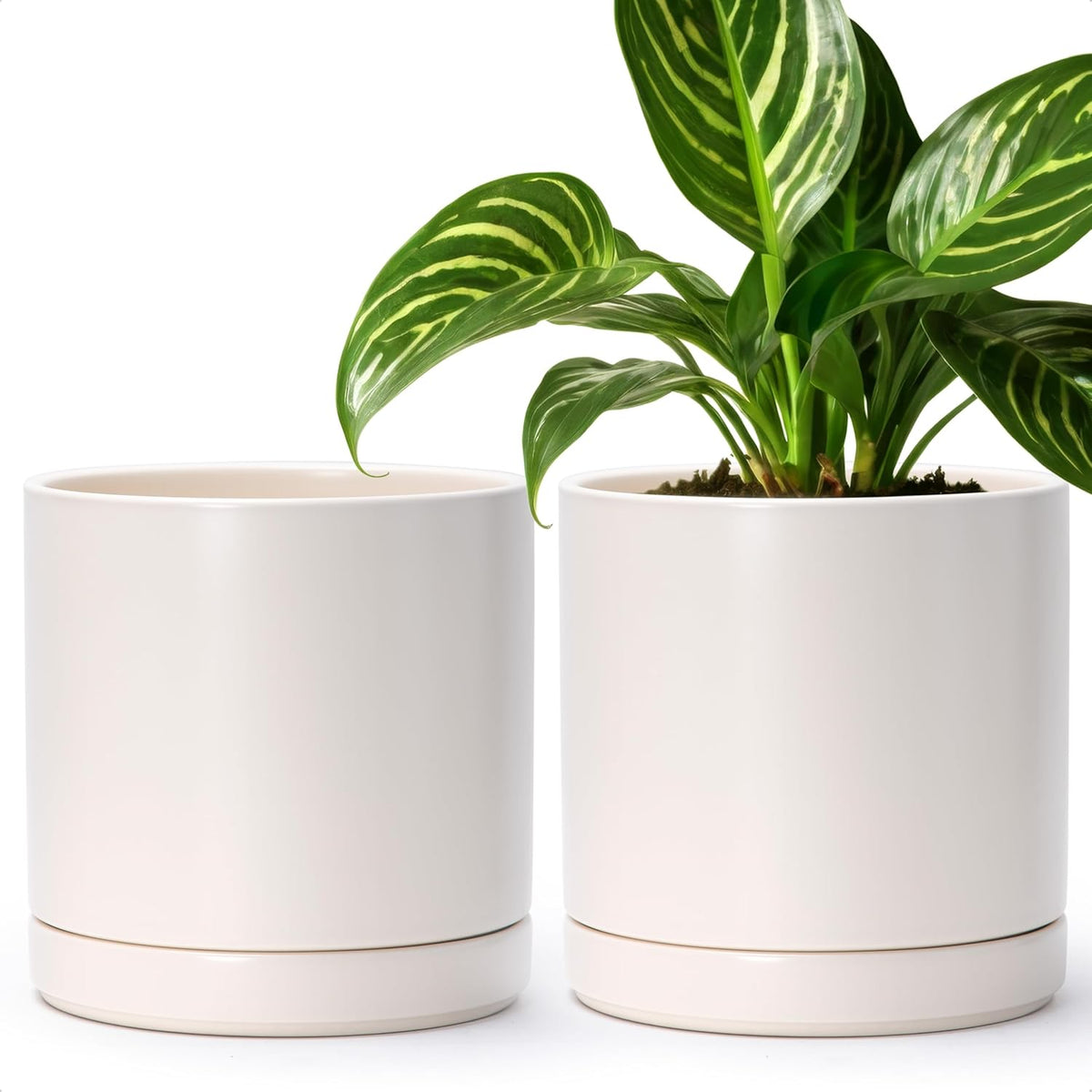 D'vine Dev Set of 2 Plants Pots, 8.2 Inch Ceramic Planter Pot for Plants with Drainage Hole and