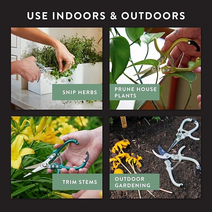 Modern Sprout Pruning Shears - Herb Snipping Scissors- Lightweight Gardening Tools W/Easy Lock
