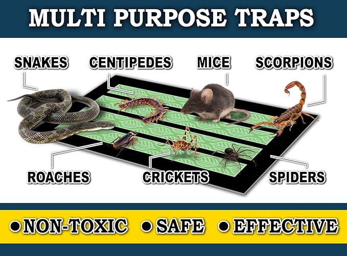 MaxGuard MaxGrip Glue Traps (24 Traps) Non-Toxic Extra Sticky Glue Board Pre-Baited with Fruity