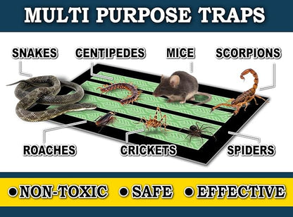 MaxGuard MaxGrip Glue Traps (24 Traps) Non-Toxic Extra Sticky Glue Board Pre-Baited with Fruity