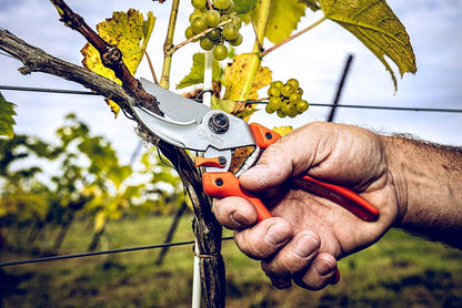 Original LÖWE 9 Bypass Pruning Shears 9.104 with Adjustable Grip Width - Sharp Carbon Steel Blades