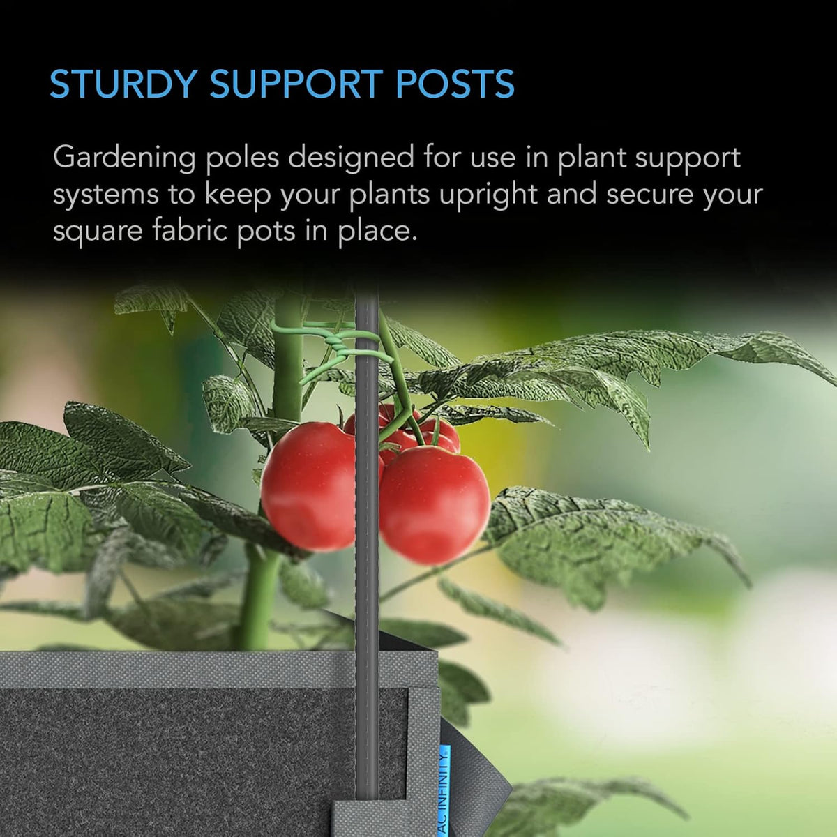 AC Infinity Garden Plant Stakes 36", Sturdy Metal Support Sticks with Protective Plastic Coating
