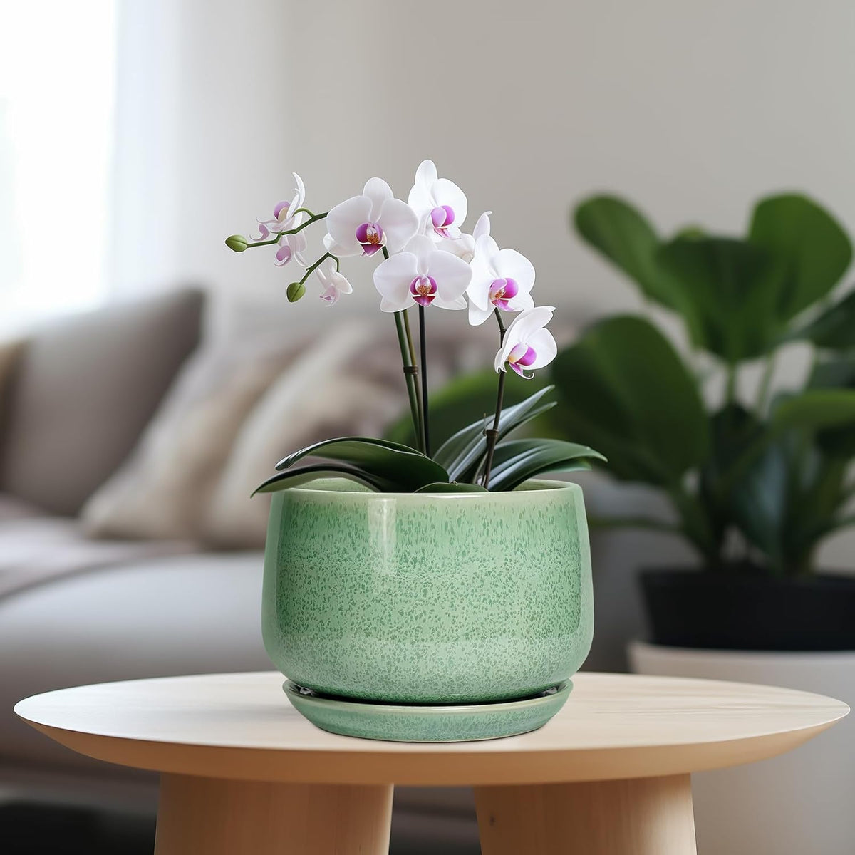 G EPGardening Ceramic Plant Pot - 7 Inch Ceramic Planter for Indoor Outdoor Plants, Flower Pot with