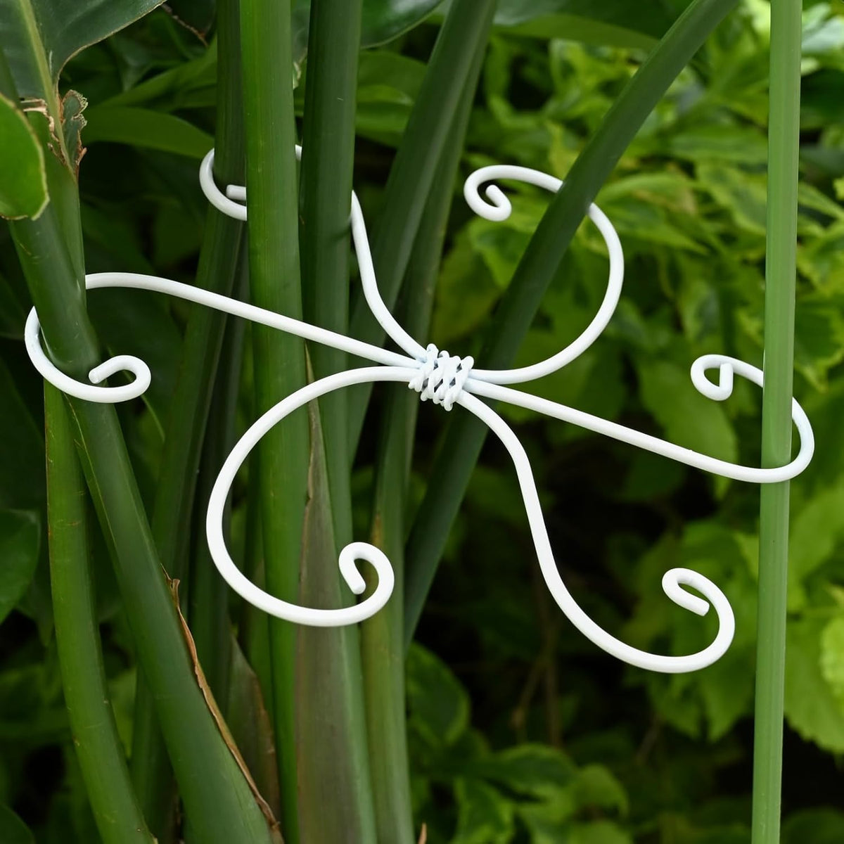 6.5 * 6.5in Monstera Plant Support Hook 5PCS - Durable Stabilizer & Leaf Holder for Indoor Plants